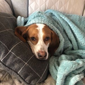 Meet your Posher, Chelsea